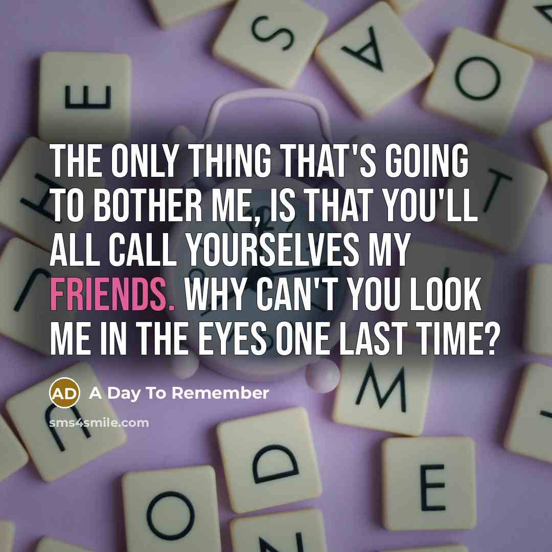 “The only thing that's going to bother me, is that you'll all call yourselves my friends. Why can't you look me in the eyes one last time?” quote by A Day To Remember