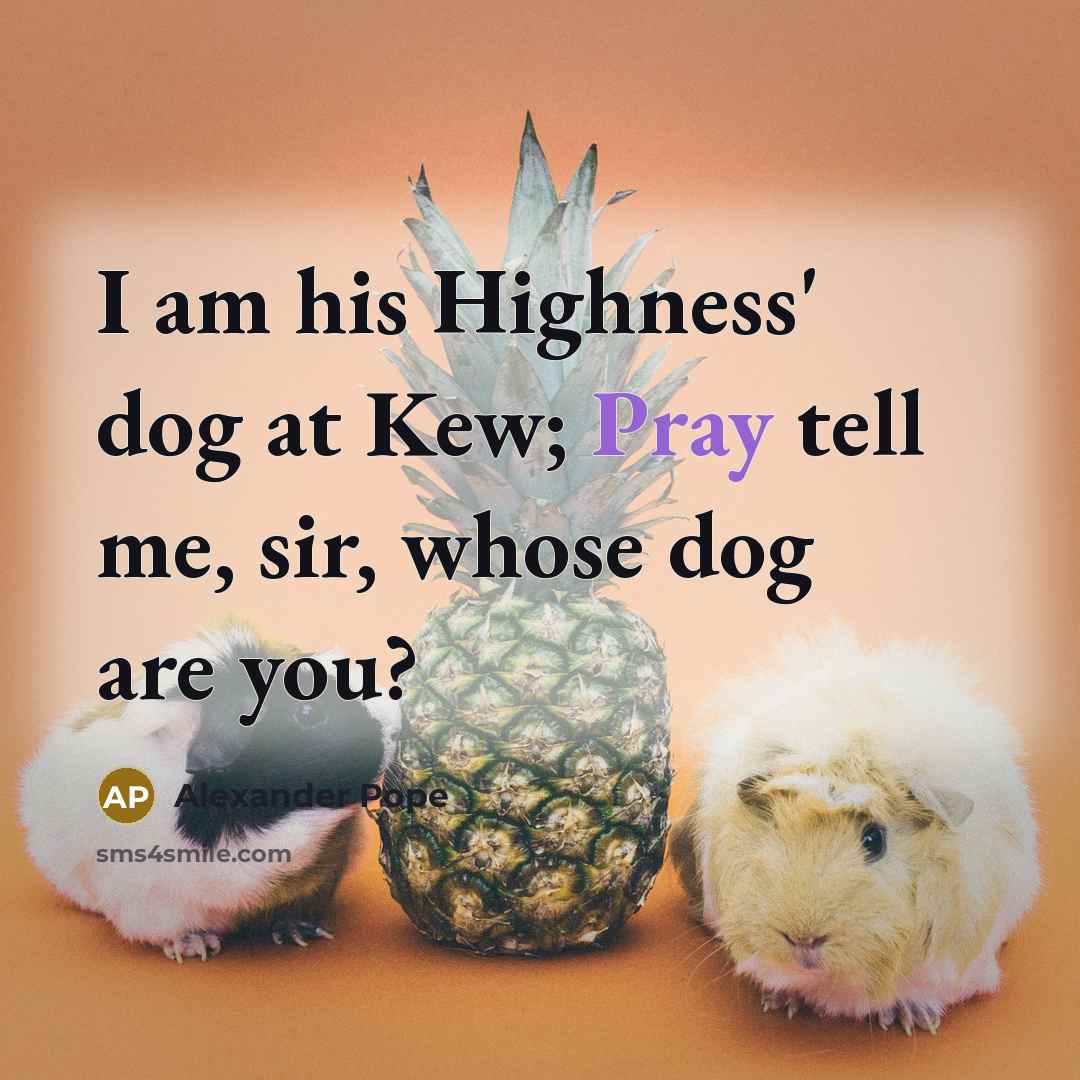 “I am his Highness' dog at Kew; Pray tell me, sir, whose dog are you?” quote by Alexander Pope