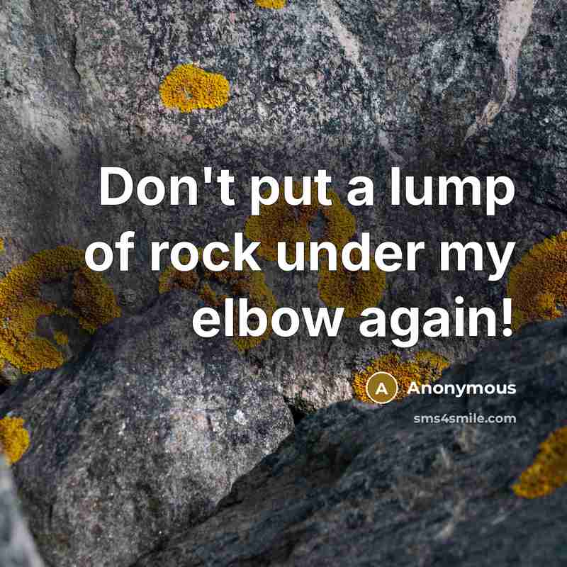 “Don't put a lump of rock under my elbow again!” quote by Anonymous