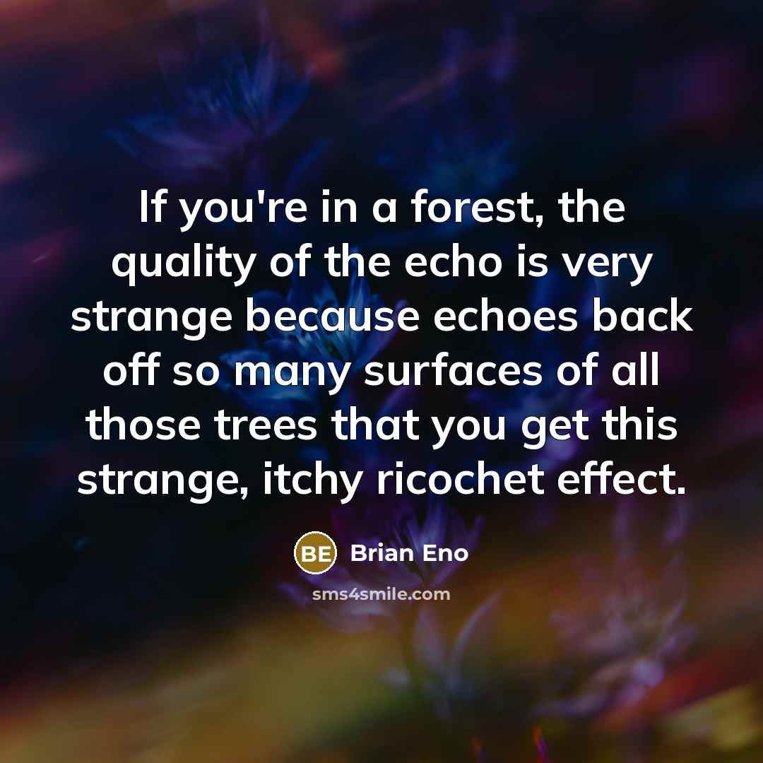 “If you're in a forest, the quality of the echo…” quote by Brian Eno