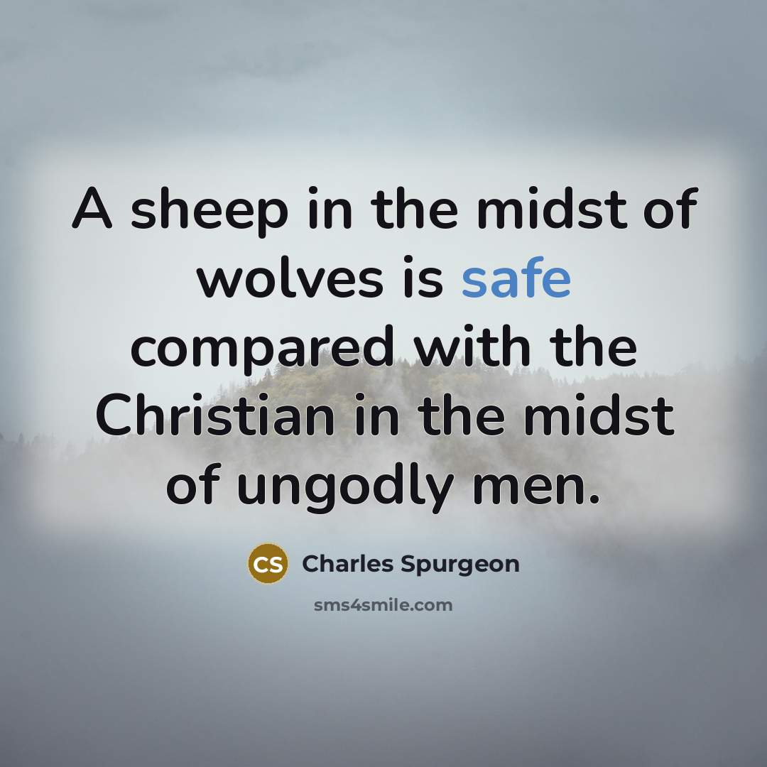“A sheep in the midst of wolves is safe compared…” quote by Charles Spurgeon