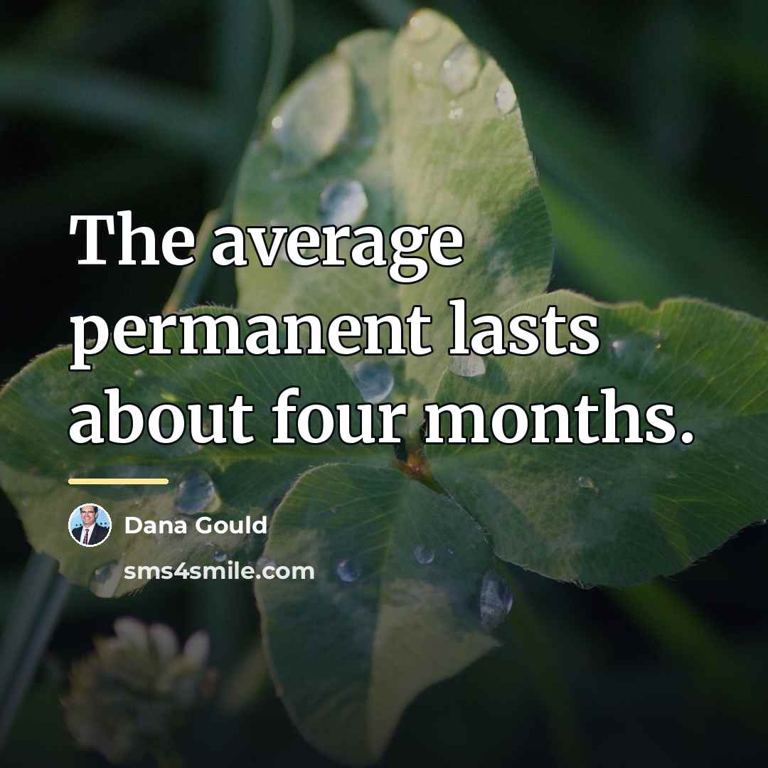 “The average permanent lasts about four months.…” quote by Dana Gould