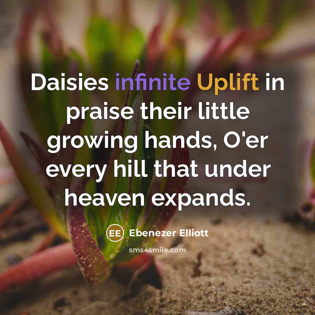 “Daisies infinite Uplift in praise their little growing hands, O'er…” quote by Ebenezer Elliott