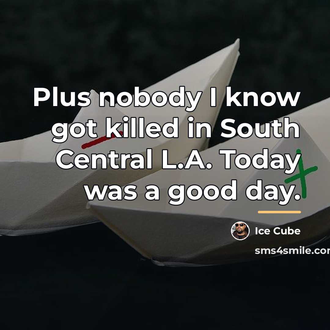 “Plus nobody I know got killed in South Central L.A.…” quote by Ice Cube