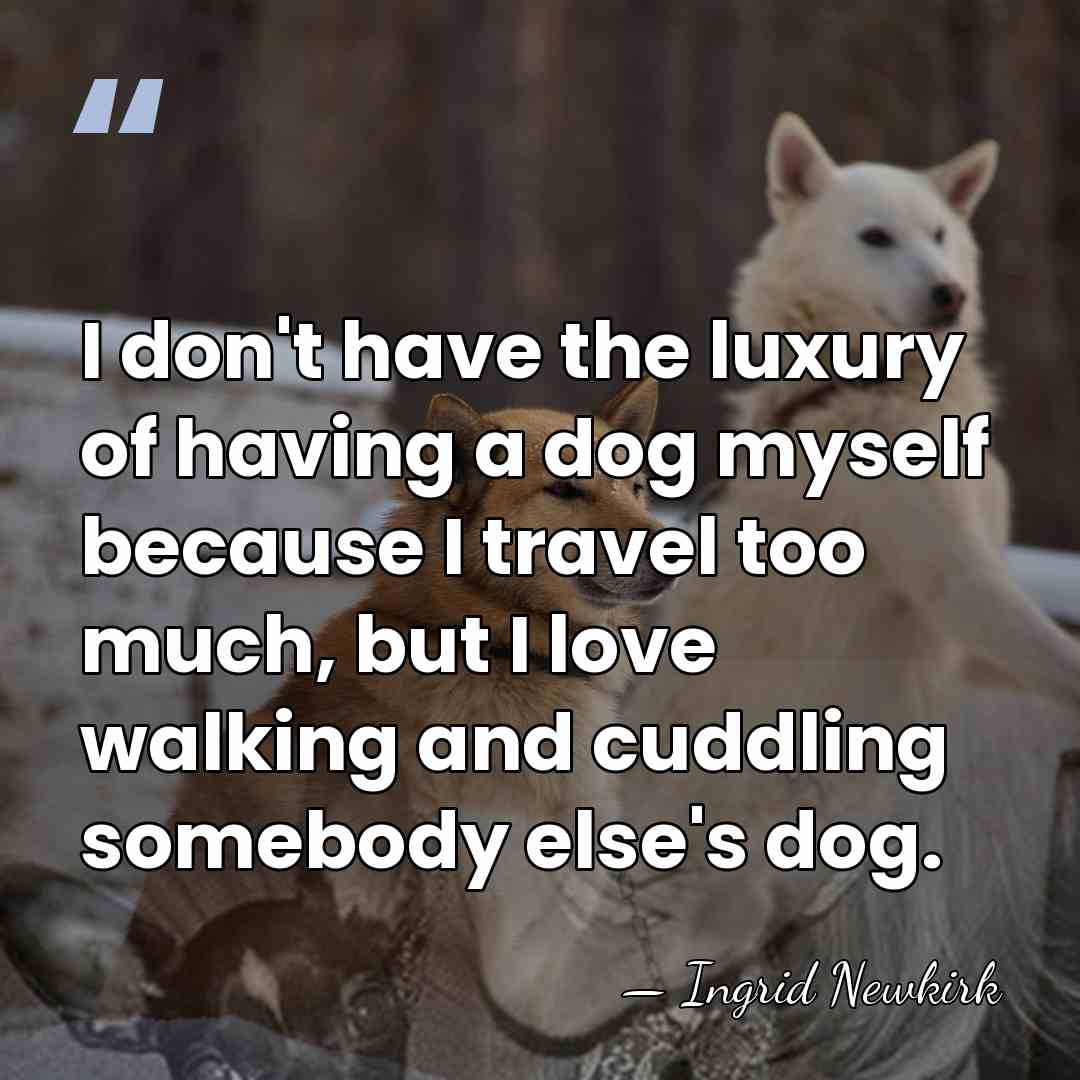 I don't have the luxury of having a dog myself because I&hellip; - Ingrid Newkirk