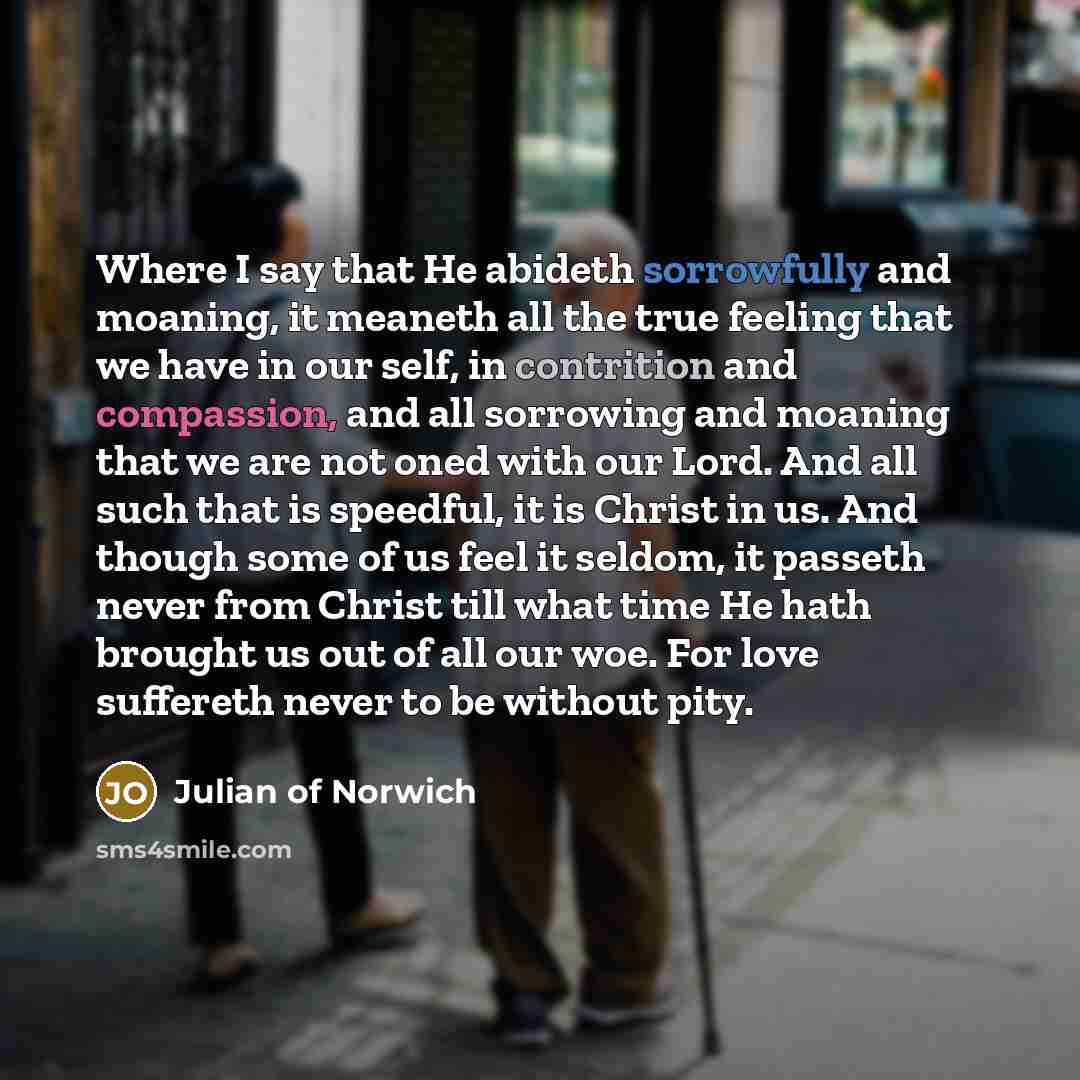 “Where I say that He abideth sorrowfully and moaning, it…” quote by Julian of Norwich