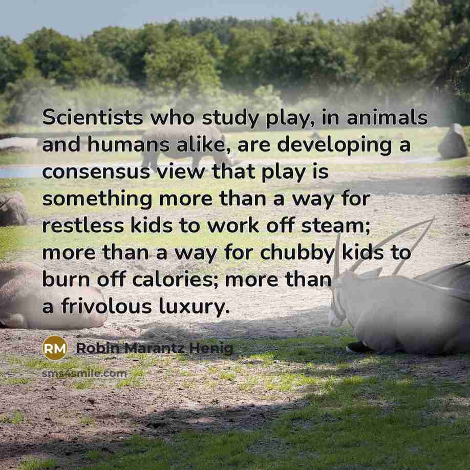 “Scientists who study play, in animals and humans alike, are…” quote by Robin Marantz Henig