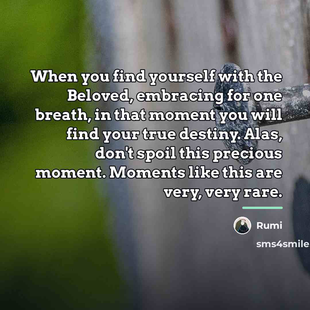 “When you find yourself with the Beloved, embracing for one…” quote by Rumi