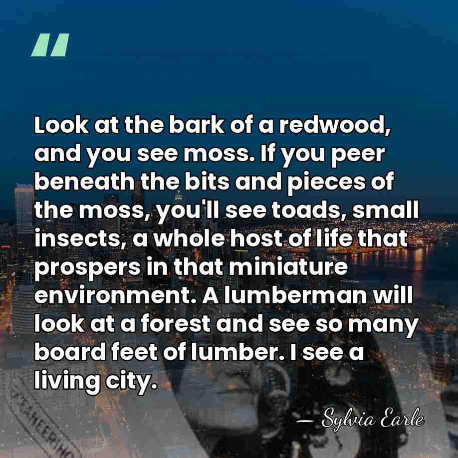 Look at the bark of a redwood, and you see moss. If&hellip; - Sylvia Earle