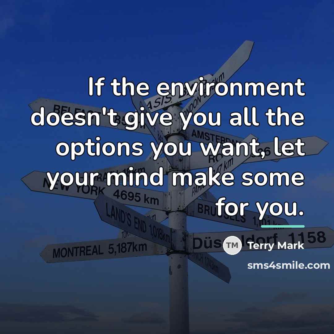 “If the environment doesn't give you all the options you…” quote by Terry Mark