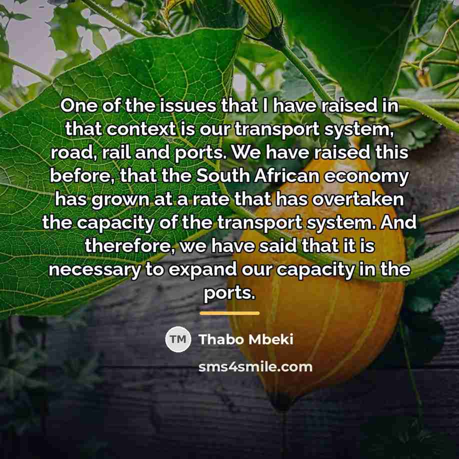 “One of the issues that I have raised in that…” quote by Thabo Mbeki