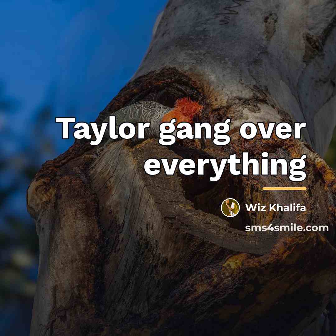 “Taylor gang over everything…” quote by Wiz Khalifa