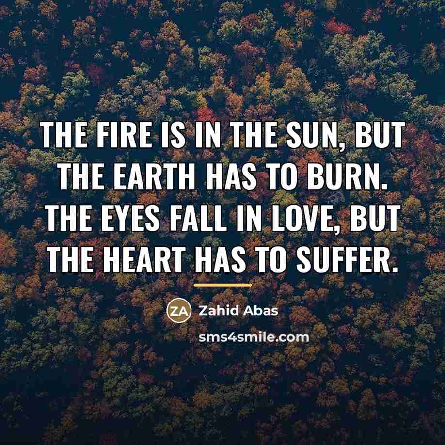 “The fire is in the sun, but the earth has…” quote by Zahid Abas
