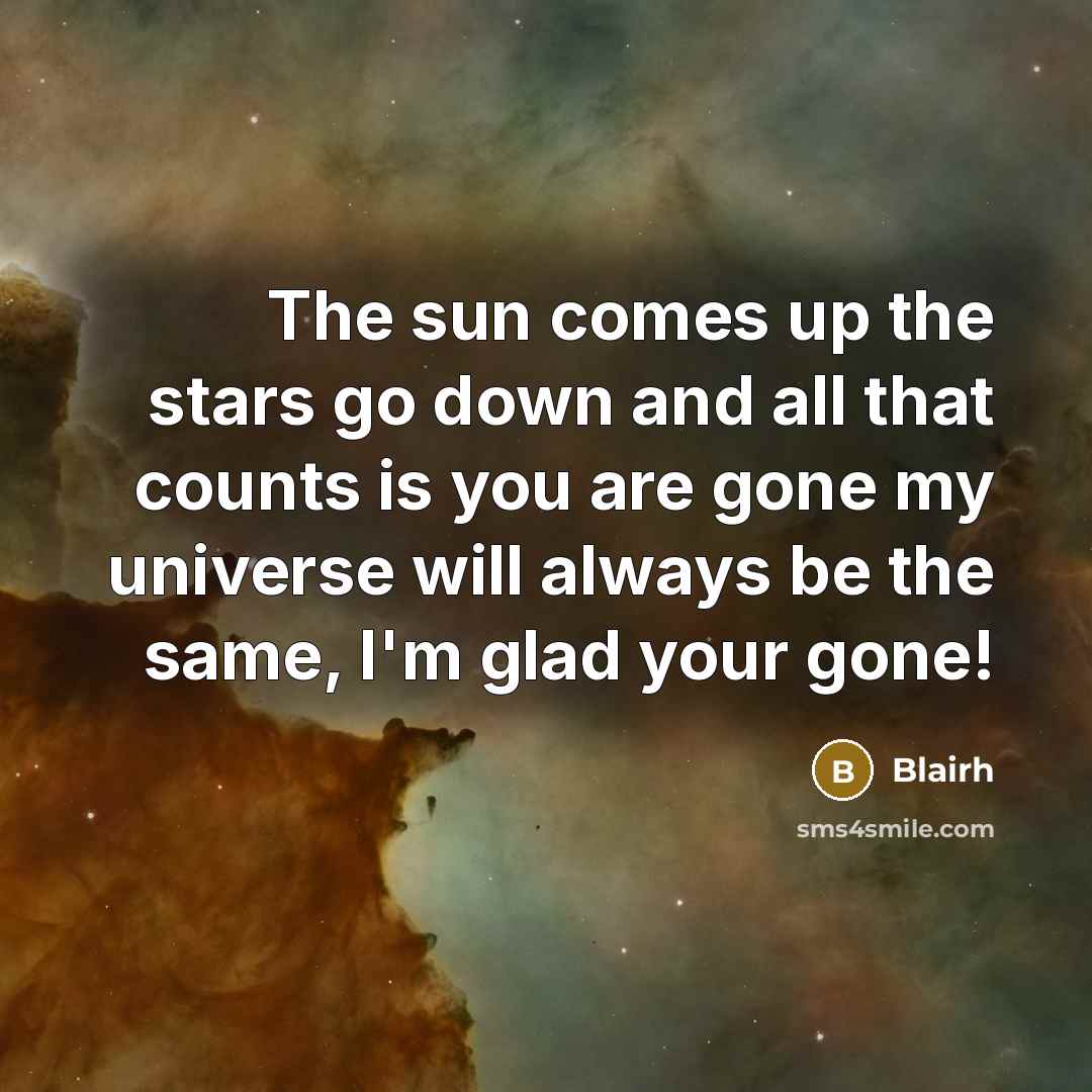 “The sun comes up the stars go down and all that counts is you are gone my universe will always be the same, I'm glad your gone!” quote by Blairh