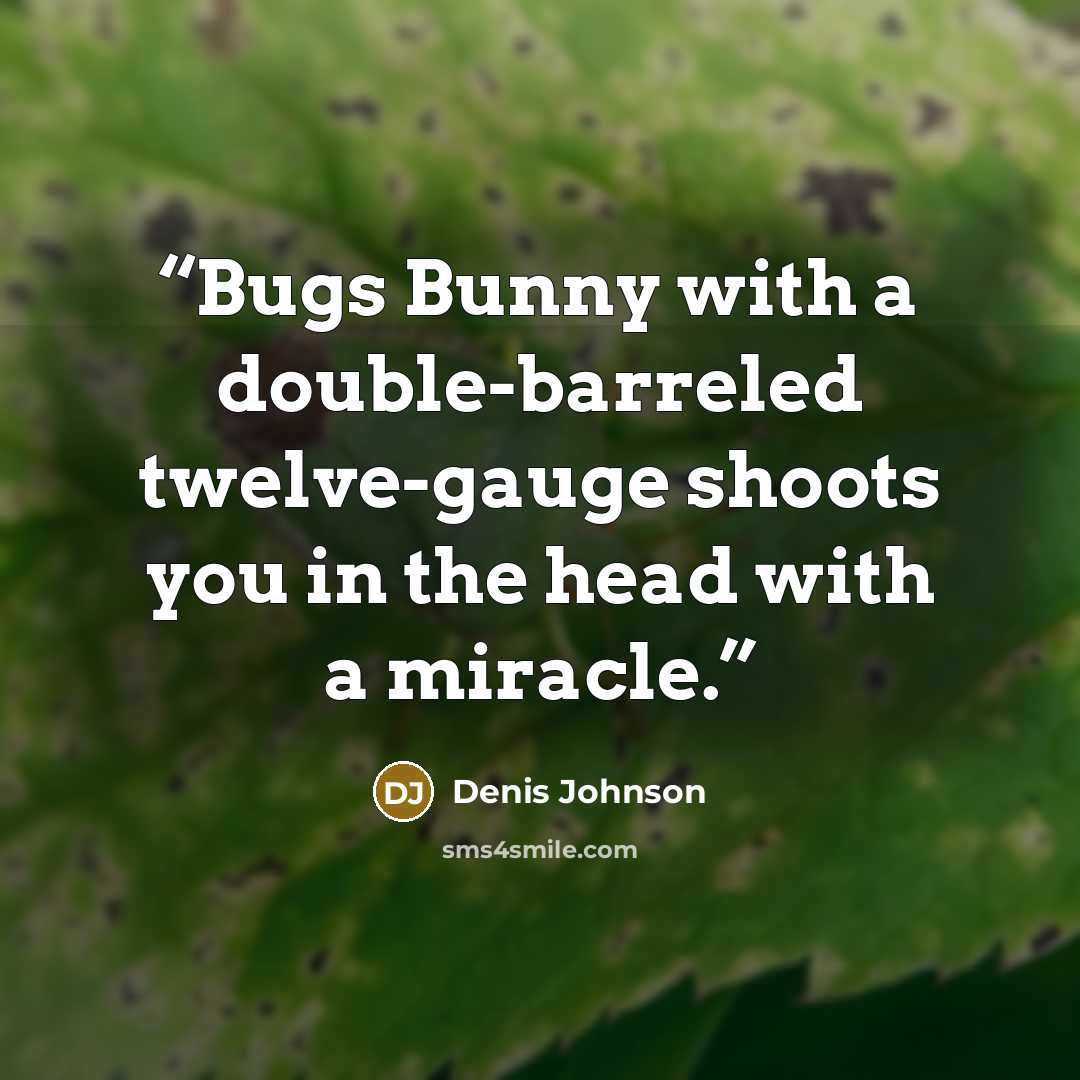 “Bugs Bunny with a double-barreled twelve-gauge shoots you in the head with a miracle.” quote by Denis Johnson