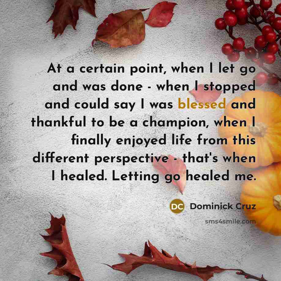 “At a certain point, when I let go and was done - when I stopped and could say I was blessed and thankful to be a champion, when I finally enjoyed life from this different perspective - that's when I healed. Letting go healed me.” quote by Dominick Cruz