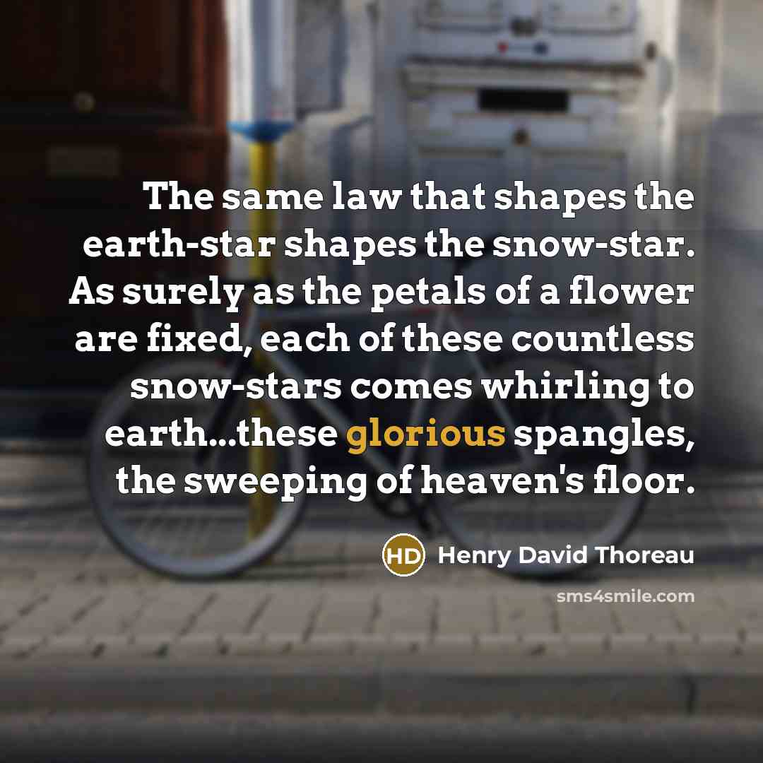 “The same law that shapes the earth-star shapes the snow-star.…” quote by Henry David Thoreau