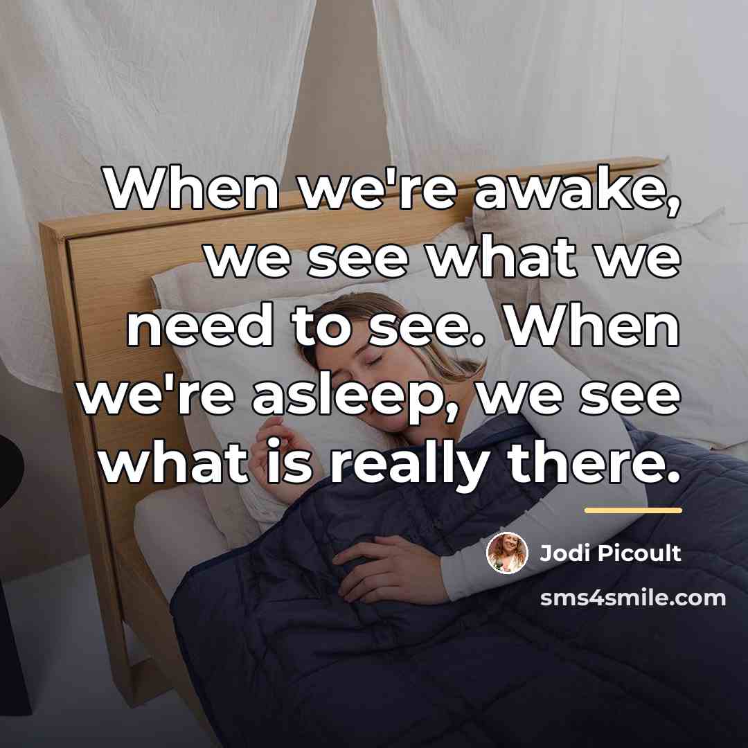 “When we're awake, we see what we need to see.…” quote by Jodi Picoult