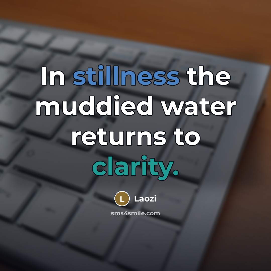 “In stillness the muddied water returns to clarity.…” quote by Laozi