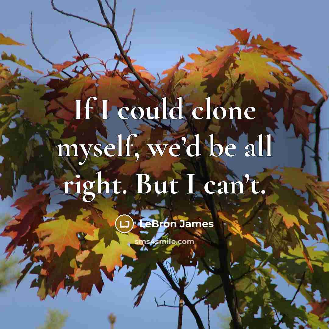“If I could clone myself, we’d be all right. But…” quote by LeBron James