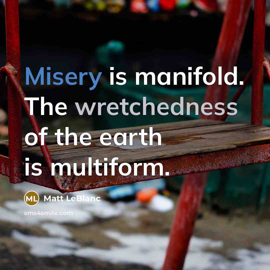 “Misery is manifold. The wretchedness of the earth is multiform.…” quote by Matt LeBlanc