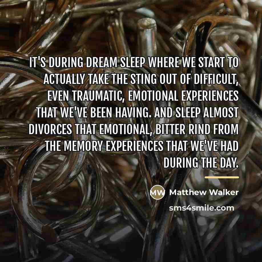 “It's during dream sleep where we start to actually take…” quote by Matthew Walker