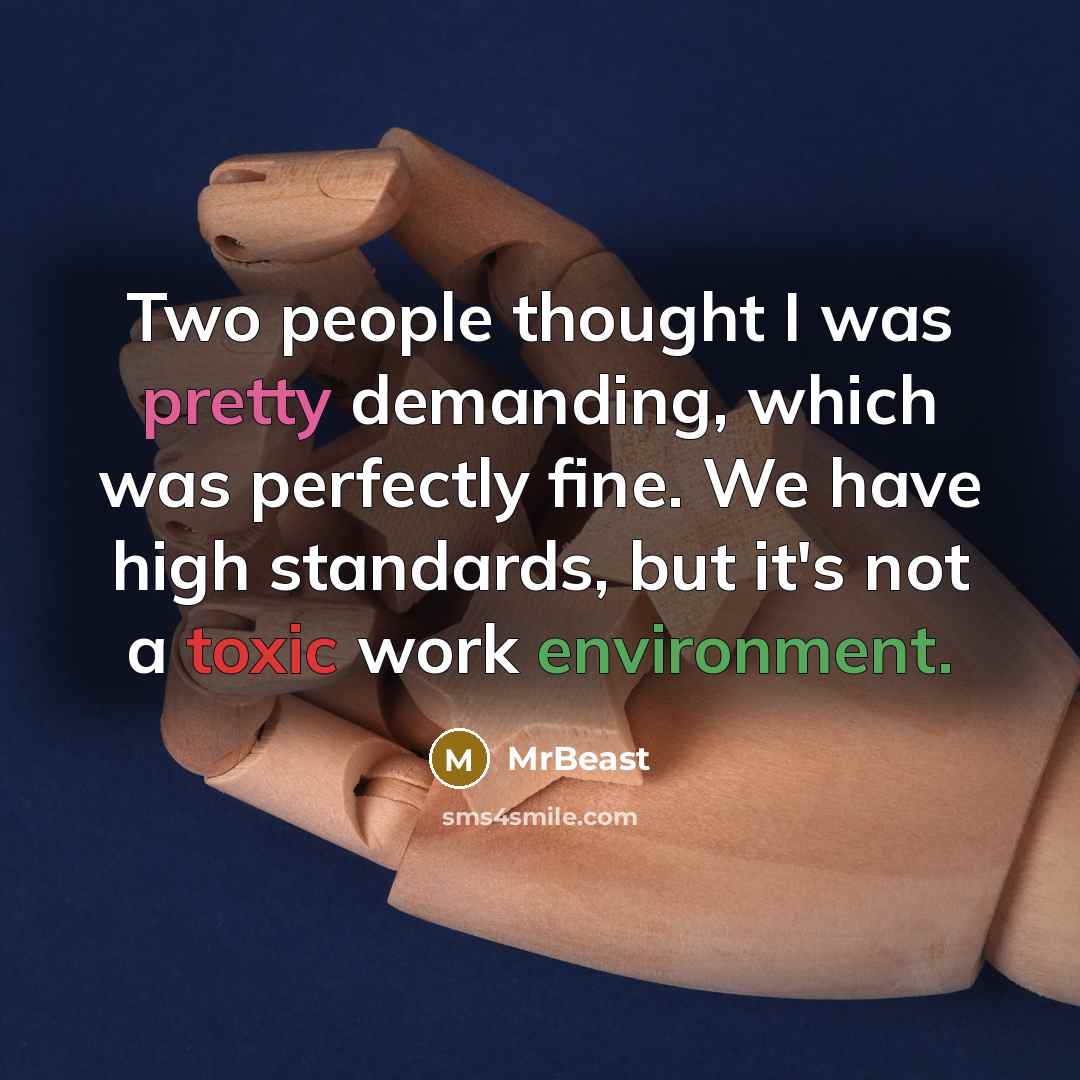 “Two people thought I was pretty demanding, which was perfectly fine. We have high standards, but it's not a toxic work environment.” quote by MrBeast