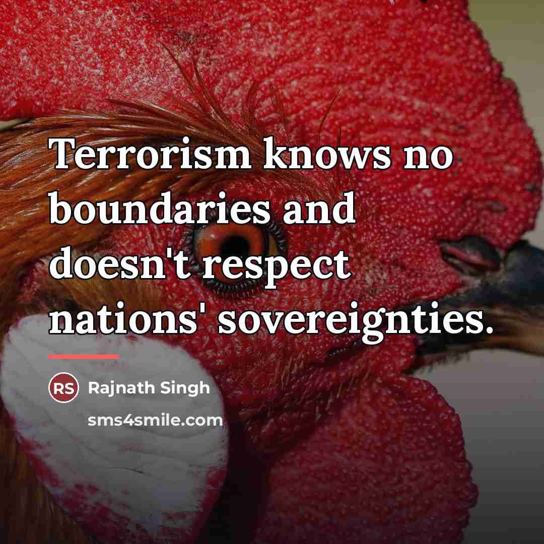 “Terrorism knows no boundaries and doesn't respect nations' sovereignties.…” quote by Rajnath Singh