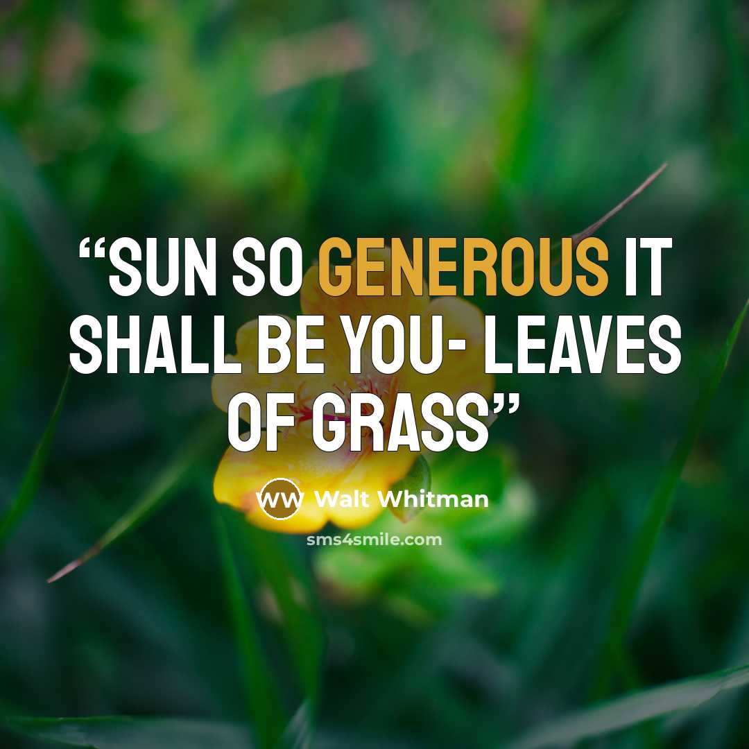 “Sun so generous it shall be you- Leaves of Grass” quote by Walt Whitman