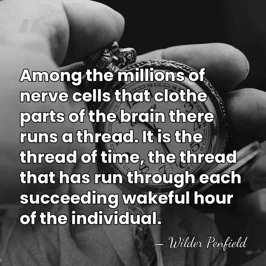 Among the millions of nerve cells that clothe parts of the brain&hellip; - Wilder Penfield