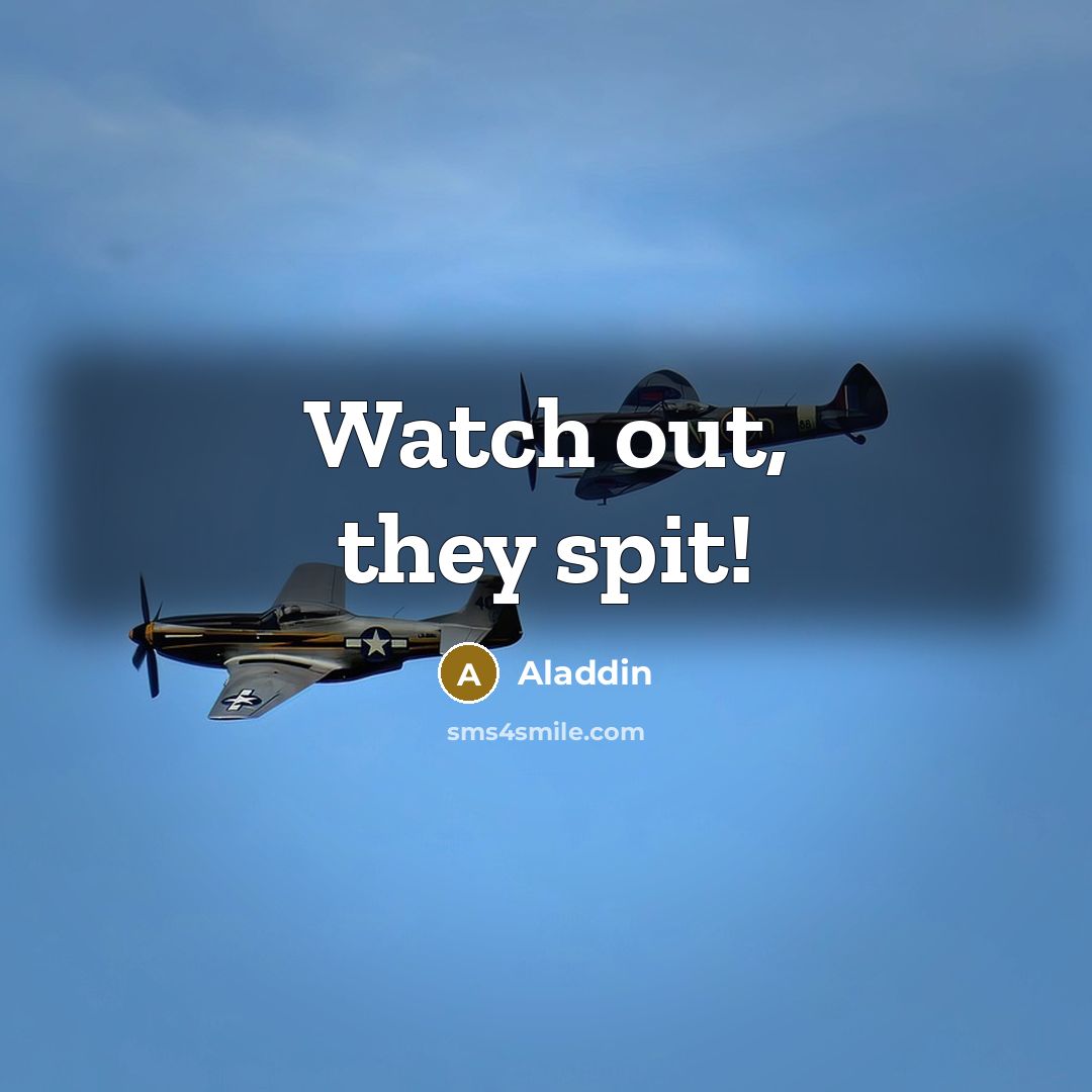 “Watch out, they spit!…” quote by Aladdin
