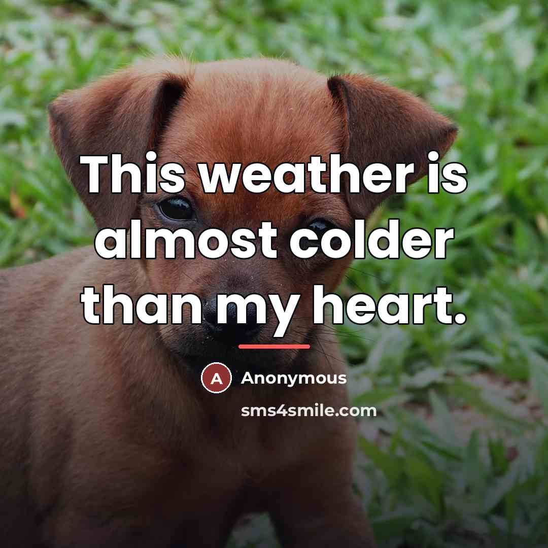 “This weather is almost colder than my heart.…” quote by Anonymous