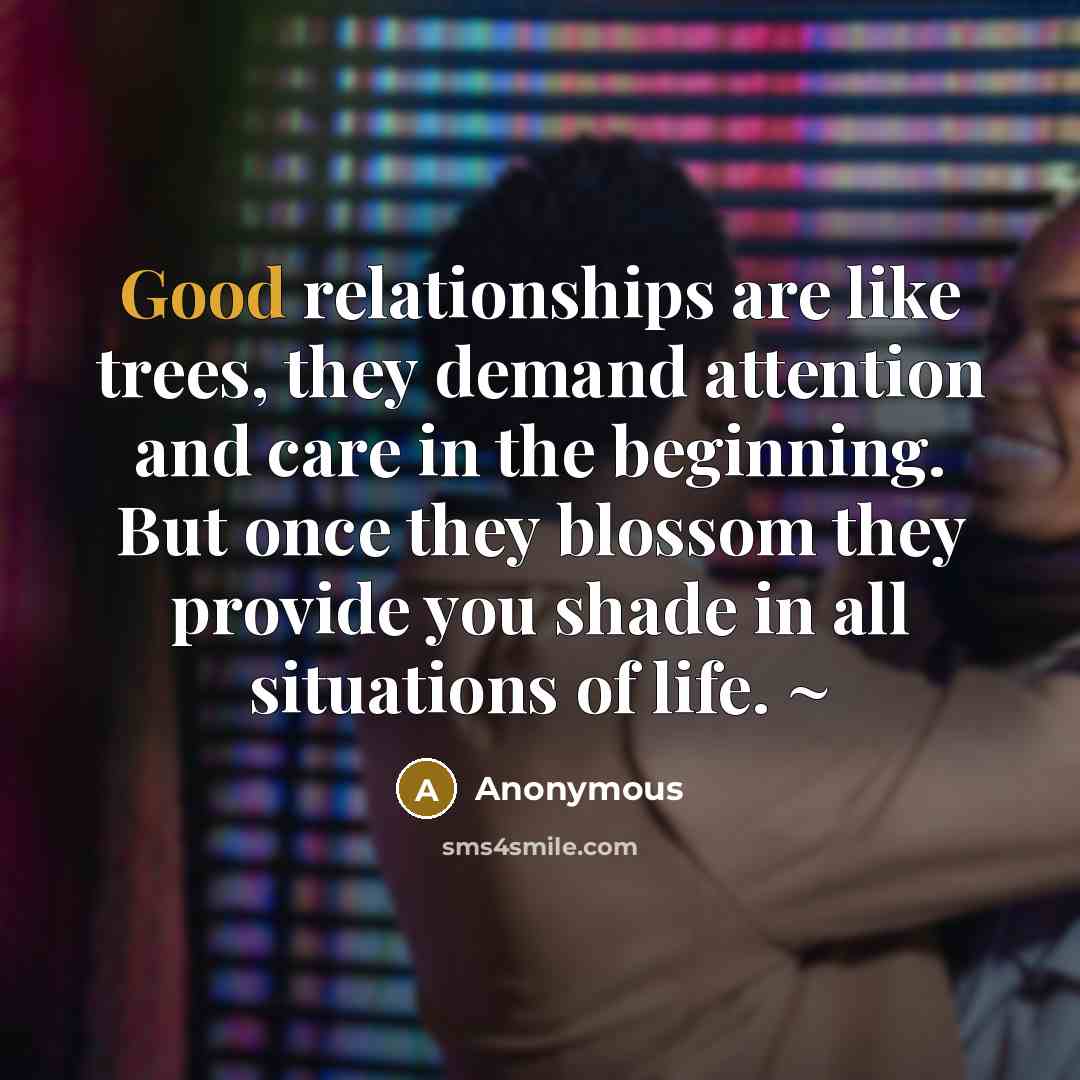“Good relationships are like trees, they demand attention and care in the beginning. But once they blossom they provide you shade in all situations of life. ~” quote by Anonymous