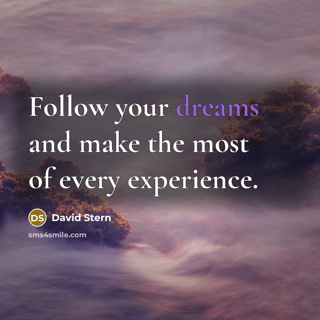 “Follow your dreams and make the most of every experience.…” quote by David Stern