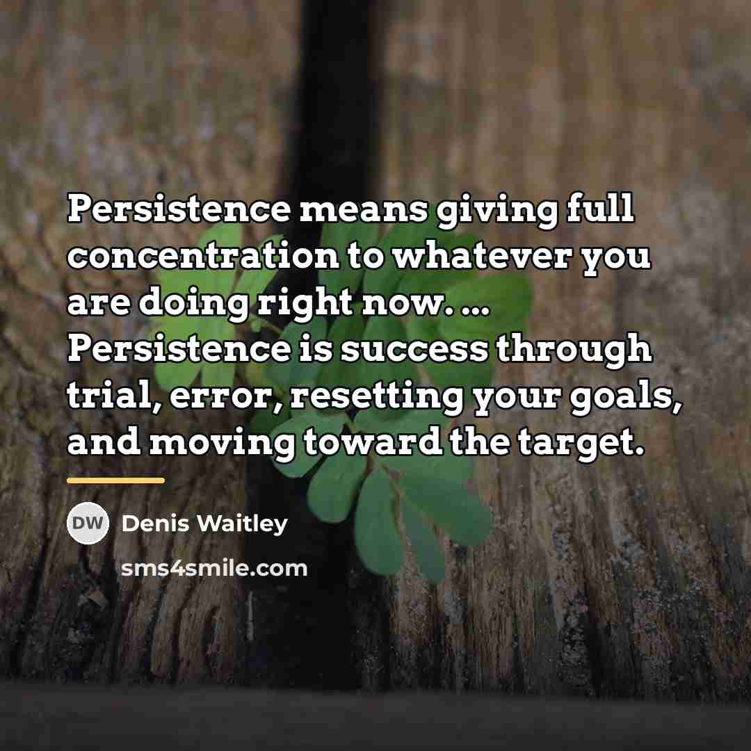 “Persistence means giving full concentration to whatever you are doing…” quote by Denis Waitley