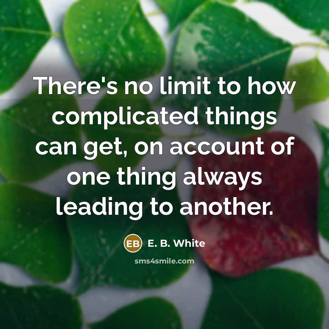 “There's no limit to how complicated things can get, on…” quote by E. B. White