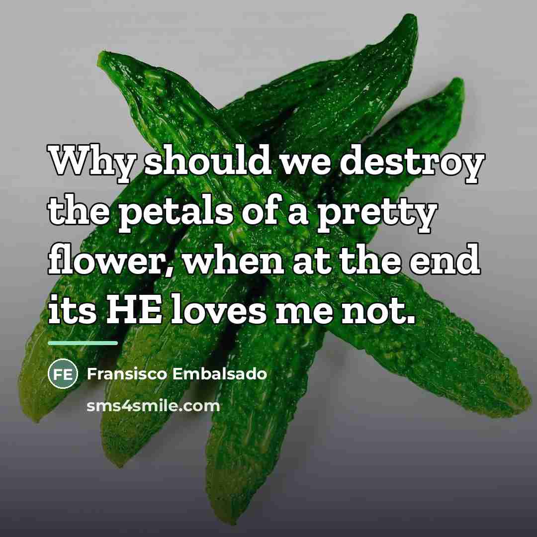 “Why should we destroy the petals of a pretty flower,…” quote by Fransisco Embalsado