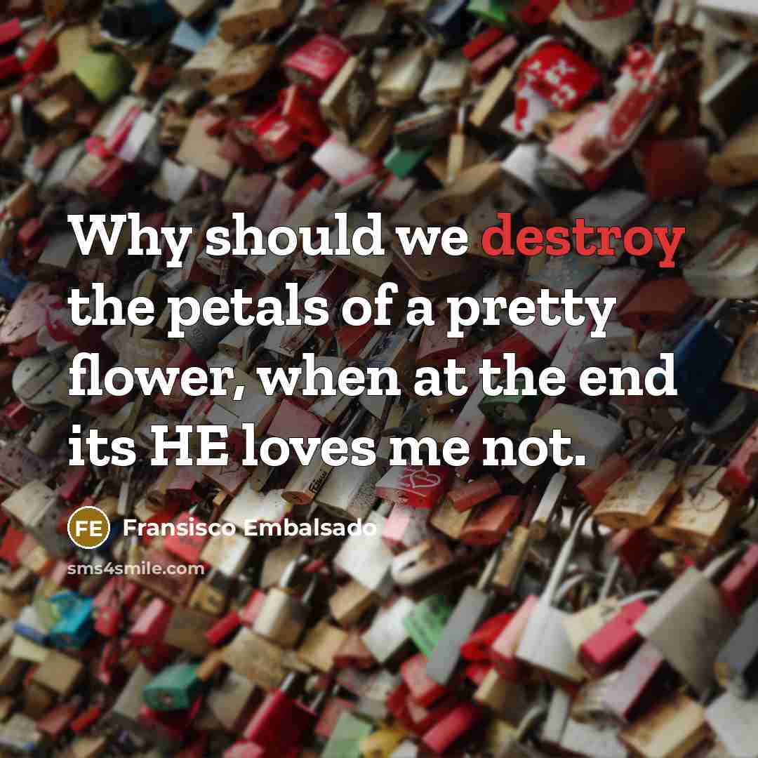 “Why should we destroy the petals of a pretty flower, when at the end its HE loves me not.” quote by Fransisco Embalsado