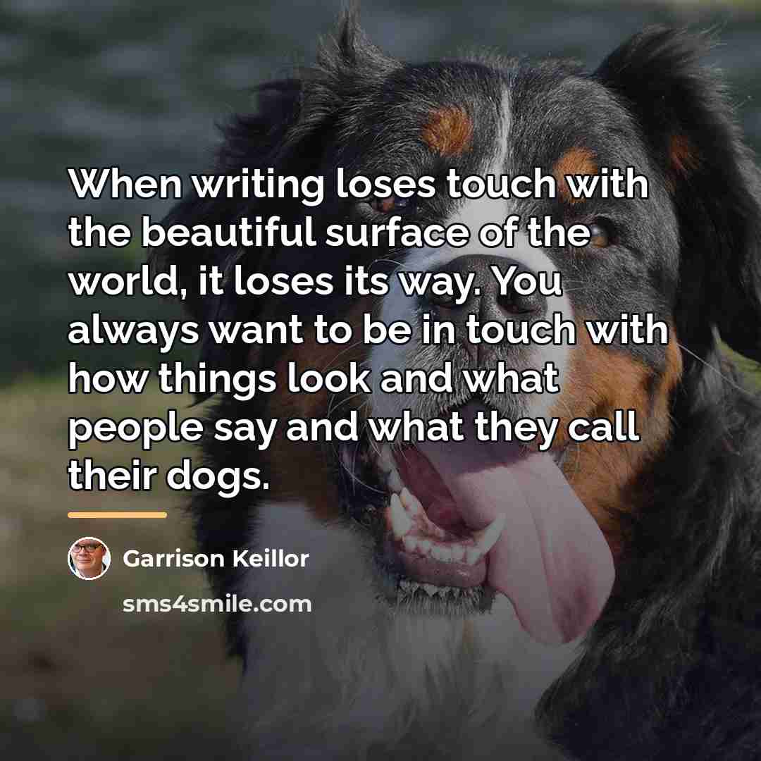 “When writing loses touch with the beautiful surface of the…” quote by Garrison Keillor
