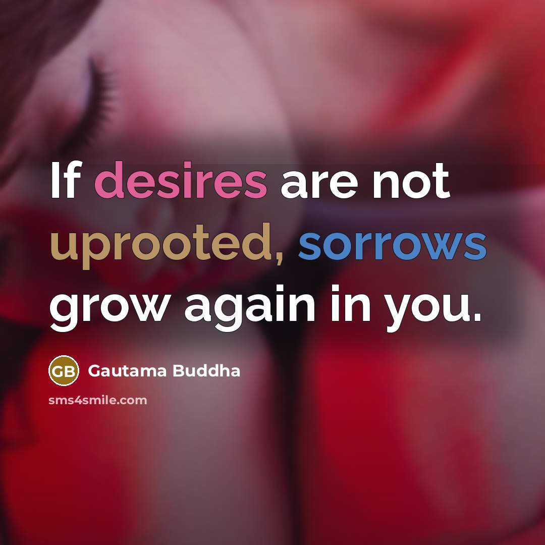 “If desires are not uprooted, sorrows grow again in you.…” quote by Gautama Buddha