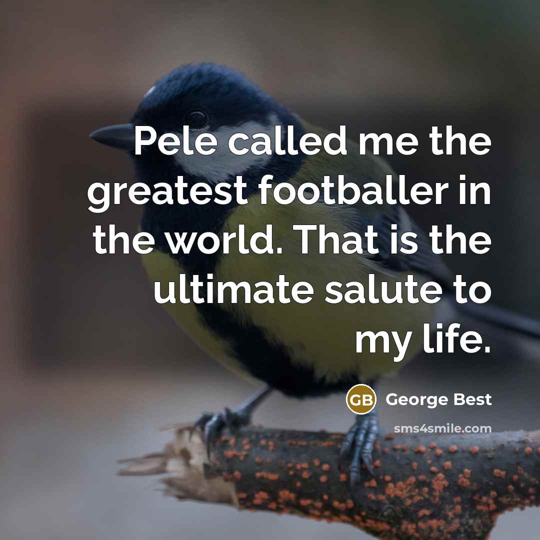 “Pele called me the greatest footballer in the world. That…” quote by George Best