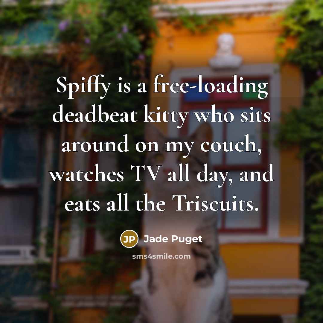 “Spiffy is a free-loading deadbeat kitty who sits around on my couch, watches TV all day, and eats all the Triscuits.” quote by Jade Puget
