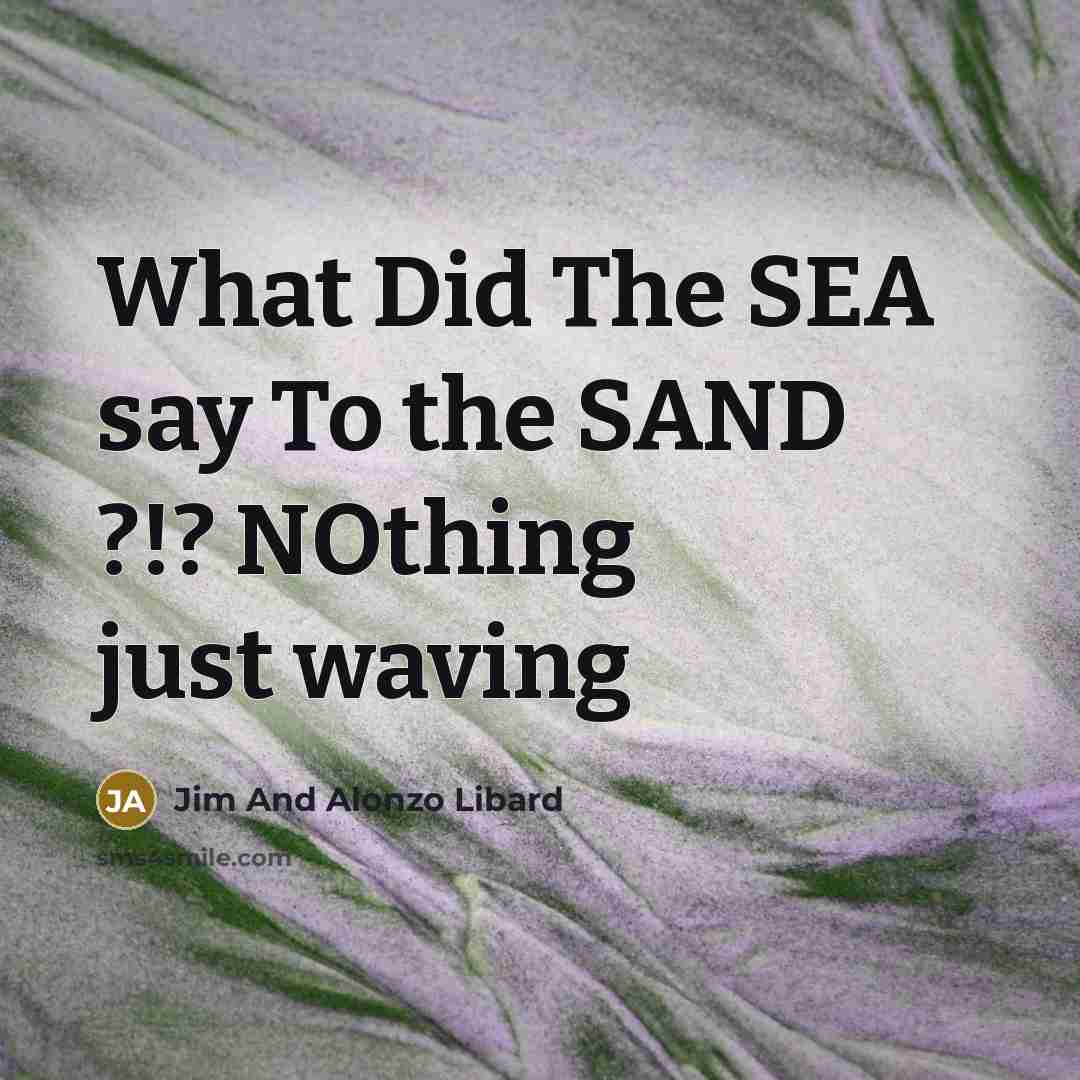 “What Did The SEA say To the SAND ?!? NOthing just waving” quote by Jim And Alonzo Libard