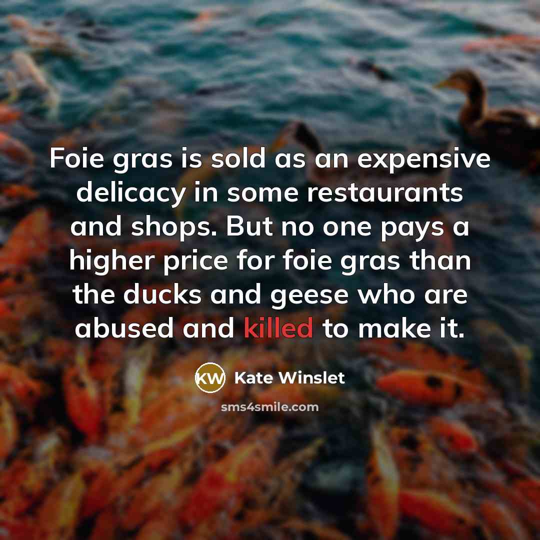 “Foie gras is sold as an expensive delicacy in some…” quote by Kate Winslet