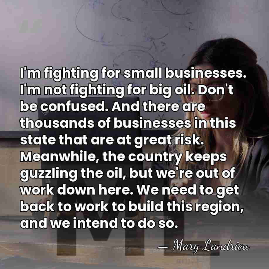 I'm fighting for small businesses. I'm not fighting for big oil. Don't&hellip; - Mary Landrieu