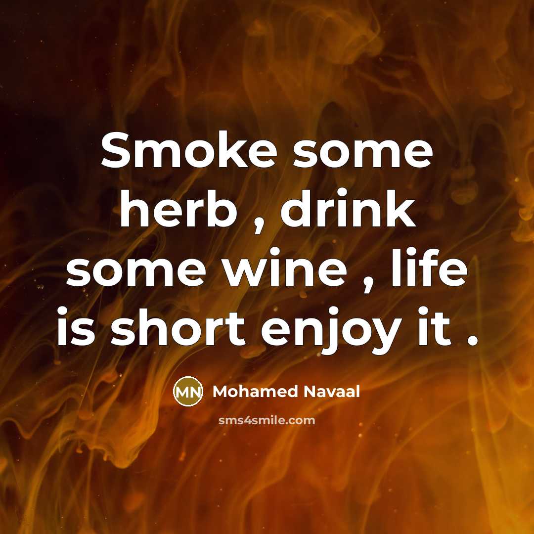 “Smoke some herb , drink some wine , life is…” quote by Mohamed Navaal