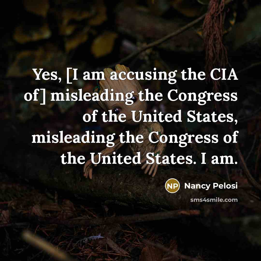 “Yes, [I am accusing the CIA of] misleading the Congress…” quote by Nancy Pelosi
