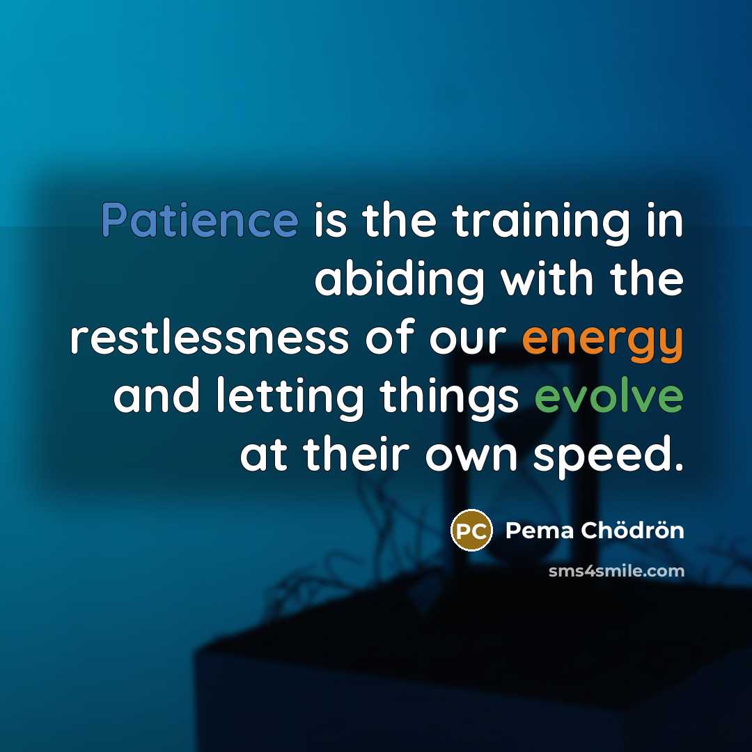 “Patience is the training in abiding with the restlessness of…” quote by Pema Chodron