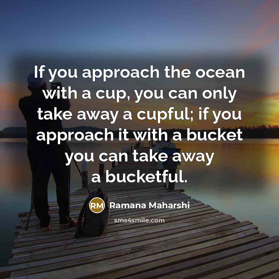“If you approach the ocean with a cup, you can…” quote by Ramana Maharshi