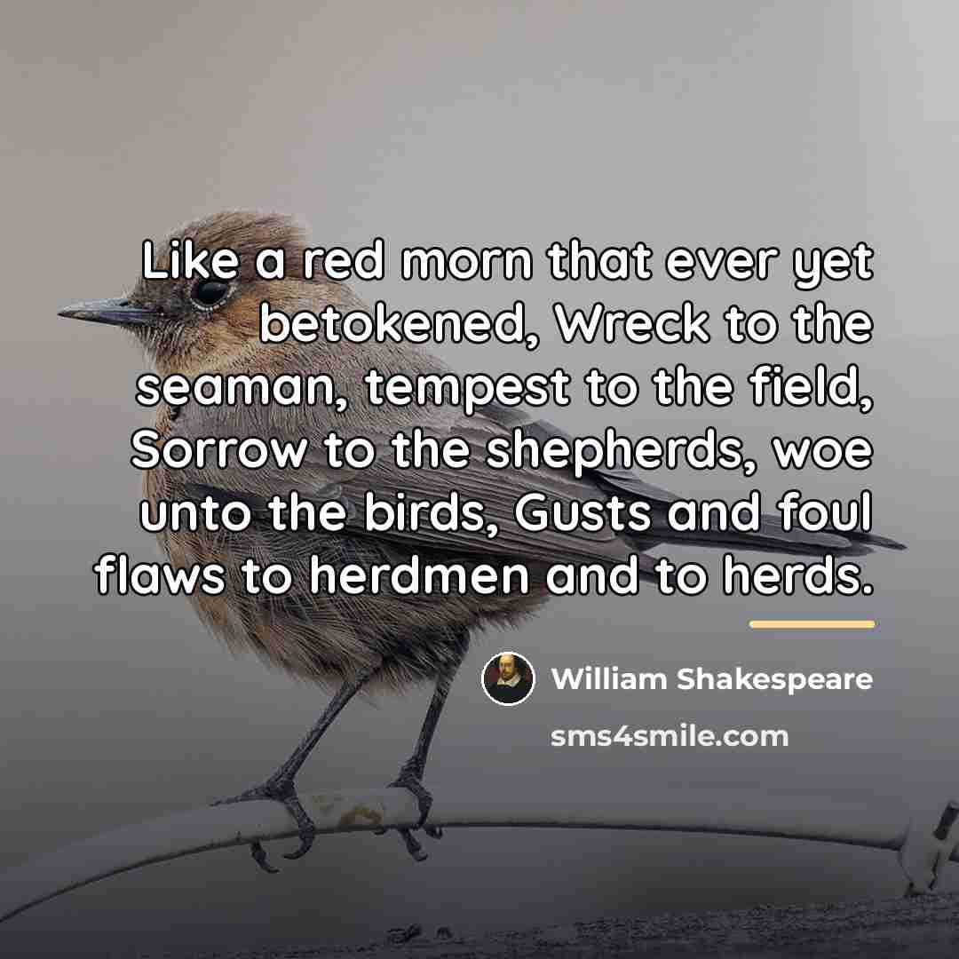 “Like a red morn that ever yet betokened, Wreck to…” quote by William Shakespeare